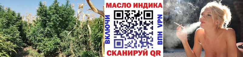ТГК Wax Курчалой